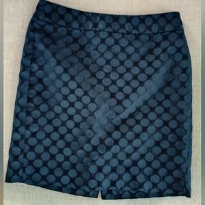 Banana Republic Skirt Size 2P